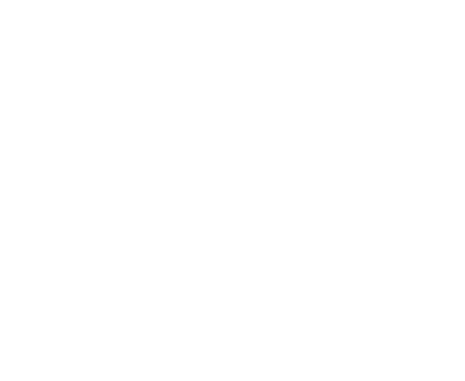 Hospitadent
